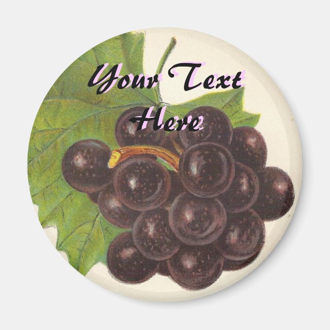 Vintage Grapes Magnet (Framsidan)