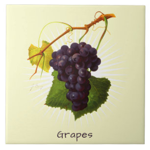Vintage Graphics Fruit Botanical Art Ceramic Tile Kakelplatta