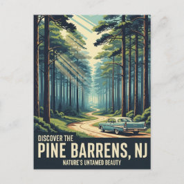 Vintage Gräs Barrens New jersey Travel Vykort