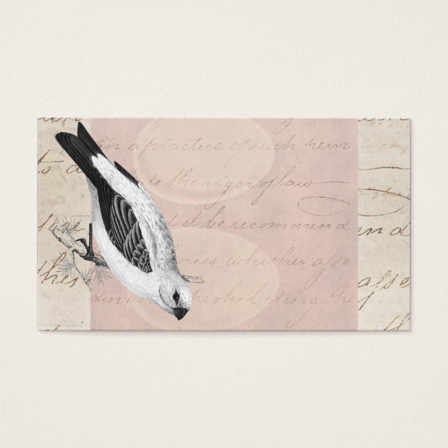 Vintage Gräs Grossbeak Sång fågelillustration Visitkort (Framsidan)