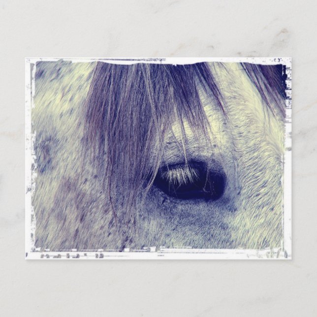 Vintage Grått Vykort (Framsida)