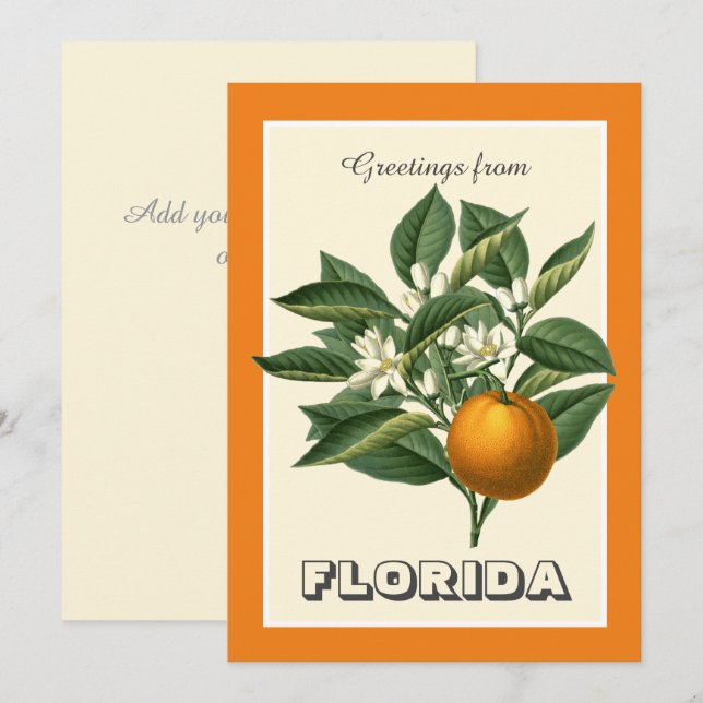 Vintage Greetings from Florida Orange Fruit  (Fram/baksida)