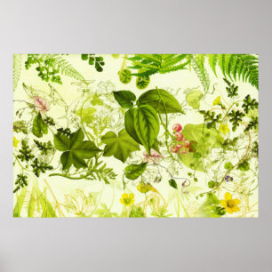 Vintage Grey botaniska blommor Vattenfärg Poster