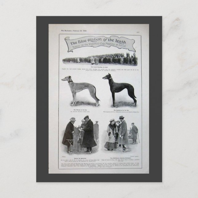 Vintage Greyhound News Clipping Vykort (Framsida)