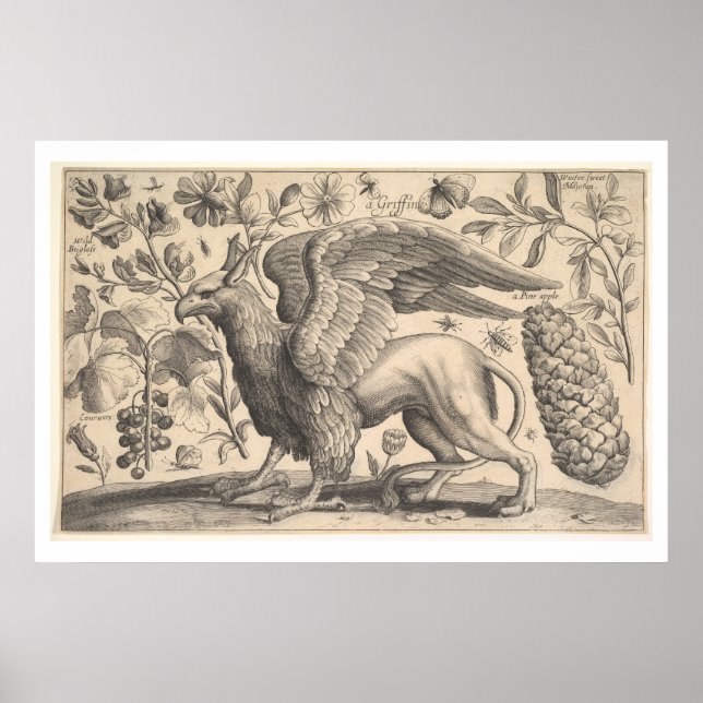 Vintage Griffin grekiska Mythology Botany Poster (Framsidan)