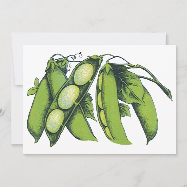 Vintage Grönsaker; kalkbönor, ekologiskt jordbruk  (Framsida)