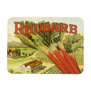 Vintage grönsakskonservburksetikett konst, Rabarbe Magnet
