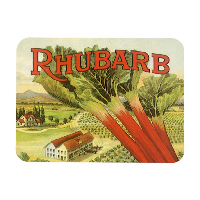 Vintage grönsakskonservburksetikett konst, Rabarbe Magnet (Horisontell)