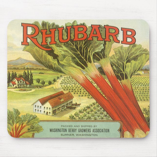 Vintage grönsakskonservsetikett konst, Rabarberfar Musmatta (Framsidan)