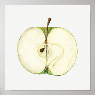 Vintage Grönt Apple Fruktmålning Poster