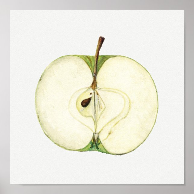 Vintage Grönt Apple Fruktmålning Poster (Framsidan)