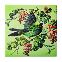 Vintage Grönt Bird Illustration by L. Prang & Co