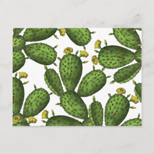 Vintage Grönt Gult Blommigt Cactus Mönster Vykort