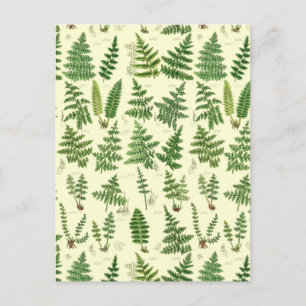 Vintage Grönt Leafy Plants Vykort