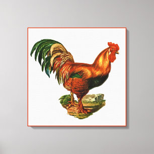 Vintage Grönt Svan Fjädrar Tupp Cockerel Canvastryck