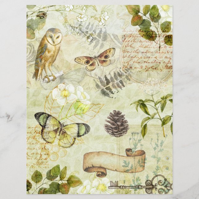 Vintage Grunge Butterflies Foliage Disrapbook Papp (Framsida)