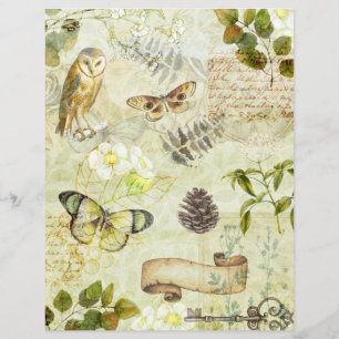 Vintage Grunge Butterflies Foliage Disrapbook Papp