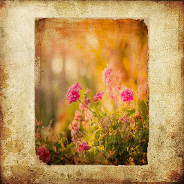 Vintage Grunge Wildblommor Scrapbook Papper