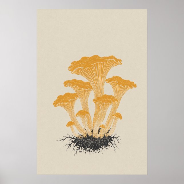 Vintage Gul Kantarell Svamp Botanisk  Poster (Framsidan)