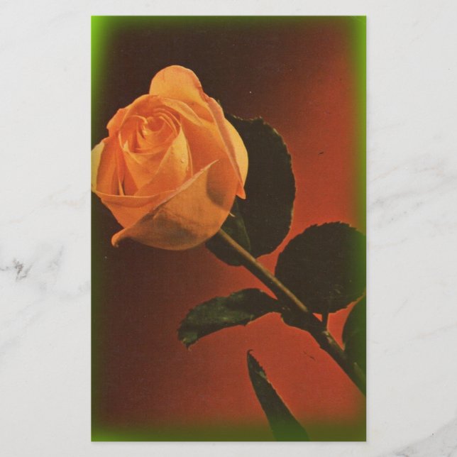 Vintage Gul ros Brevpapper (Framsida)
