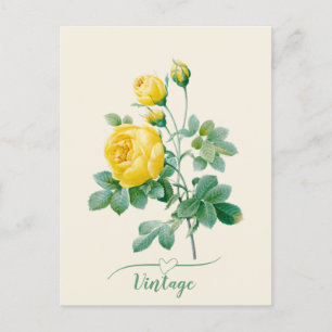 Vintage Gul ros Fine art Vykort