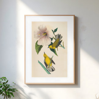 Vintage gula fåglar på blommillustration poster