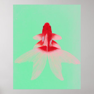 Vintage Guld Fish Wallart Poster
