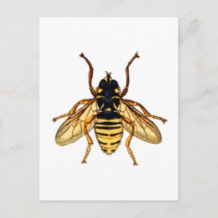 Vintage Gult Bee Vykort