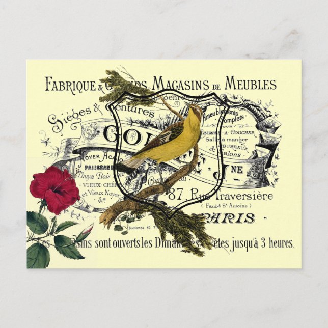 Vintage Gult Bird Ephemera Collage Vykort (Framsida)