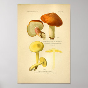 Vintage Gult Brunt svampkonst Skriv ut Fransk Poster