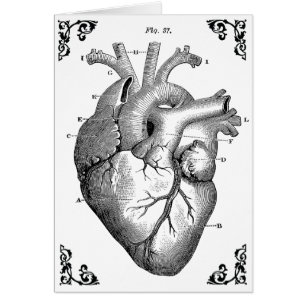 Vintage Gult kort för anatomiskt hjärtdiagram