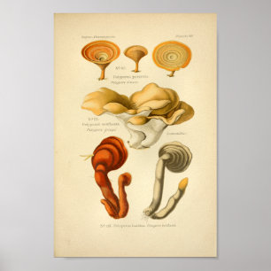 Vintage Gult Red Mushroom Art Skriv ut Fransk Poster