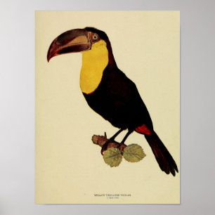 Vintage gult-styrd bild av färg med pekskärm poster
