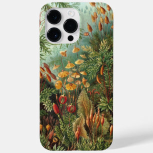 Vintage Haeckel