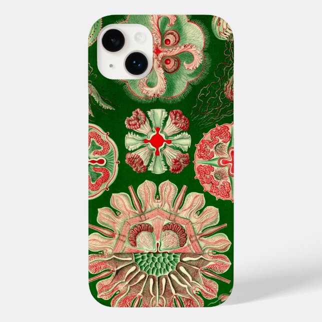 Vintage Haeckel (Baksida)