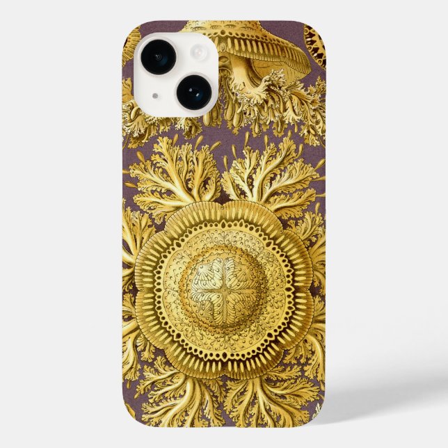 Vintage Haeckel (Baksida)