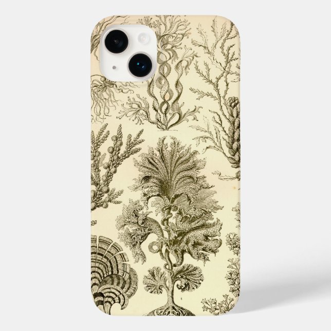 Vintage Haeckel (Baksida)