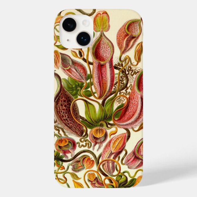 Vintage Haeckel (Baksida)