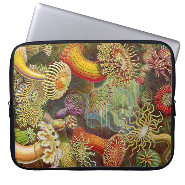 Vintage Haeckel Anemones Laptop Sleeve (Framsidan)