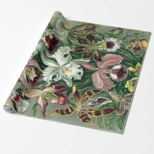 Vintage Haeckel Colorful Orchid Lithograph Poster Presentpapper