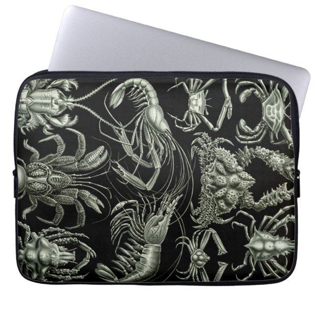 Vintage Haeckel Crustations Laptop Sleeve (Framsidan)