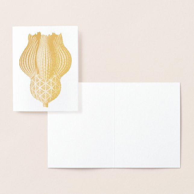 Vintage Haeckel Folierat Kort (Display)