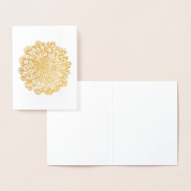 Vintage Haeckel Folierat Kort (Display)