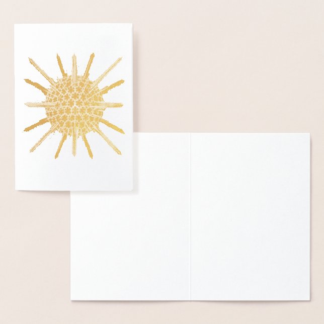 Vintage Haeckel Folierat Kort (Display)