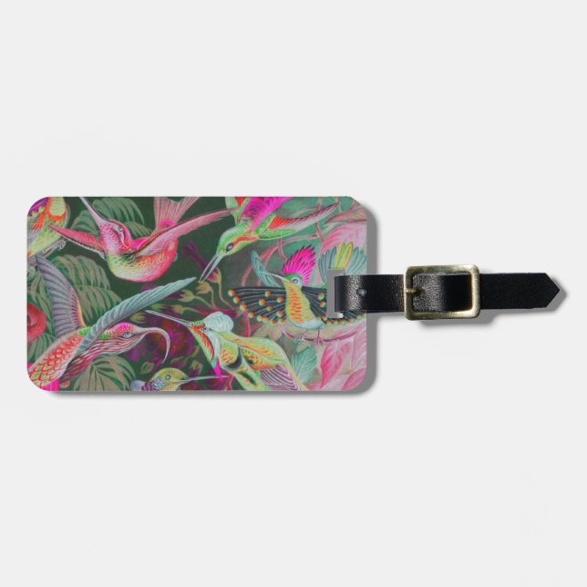 Vintage Haeckel Hummingbird Bagagebricka (Horisontell Framsida)