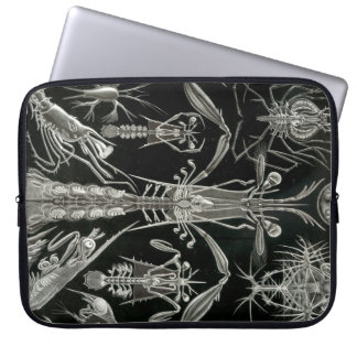 Vintage Haeckel Laptop Fodral