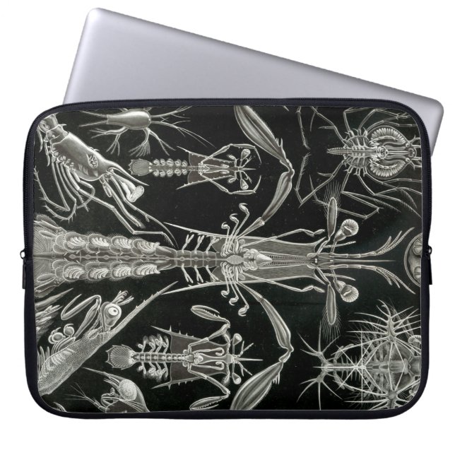 Vintage Haeckel Laptop Fodral (Framsidan)