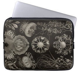 Vintage Haeckel Laptop Fodral