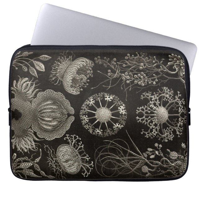Vintage Haeckel Laptop Fodral (Framsidan)