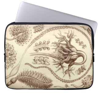 Vintage Haeckel Laptop Sleeve